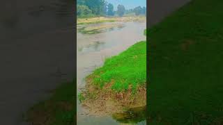 Chapakal nagpuri song jharkhand love song jharkhand nagpuri ❤️❤️❤️ [upl. by Aseek820]