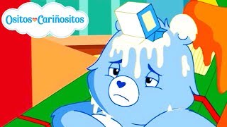 Ositos Cariñositos  Aventuras en Quiérememucho – Revoltosito irrita a Gruñosito [upl. by Akayas]