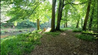 Fly Fishing on the River Doon with Davie McPhail [upl. by Rafaelita455]