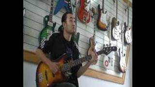 Sunsmile Bass Guitar Demo SJB 600 [upl. by Hedwiga744]