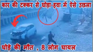 Car amp Horse Accident तेज रफ़्तार से आ रही कार ने बग्गी के घोड़े को ऐसे ठोका की हवा में उड़ा और मौत [upl. by Berkshire753]