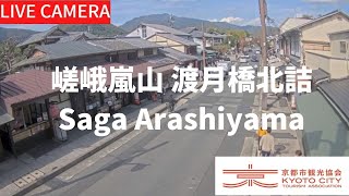 【LIVE】京都 嵯峨嵐山 渡月橋北詰ライブ中継カメラ（京都市観光協会公式）／Saga Arashiyama Kyoto Live camera [upl. by Ainessej]