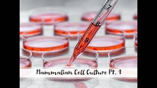 Mammalian Cell Culture  Part 1 [upl. by Ylram]