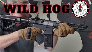 GampG Combat machine CM16 Wild hog Review [upl. by Zile491]