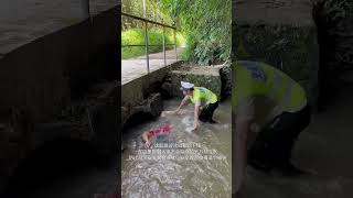 Drowning prevention drill reallife demonstration of quotDont panicquot [upl. by Idram]