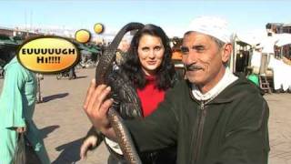 The Snake Charmers  Marrakech Morocco [upl. by Sibylla]