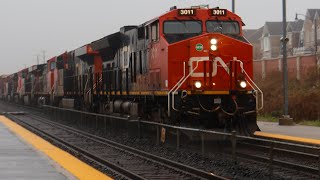 CN Halton Galore Sunday Railfanning at Mount Pleasant​ 11102024 [upl. by Hannaoj]