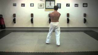 Uechi Ryu Sanchin Kata by Master Ryan Dean [upl. by Ahsiemat]