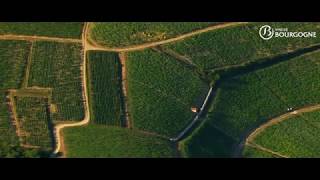 The Chablis winegrowing region seen from the sky  Japanese [upl. by Oinotnaocram347]