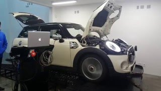 Dyno Mini Cooper S 20 [upl. by Aicek]