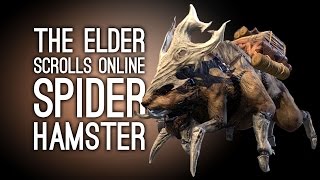 Lets Play Elder Scrolls Online Orsinium DLC  SPIDER HAMSTERS [upl. by Eenert2]