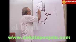 PALMISTRY PART  5 IN HINDI [upl. by Nottirb]