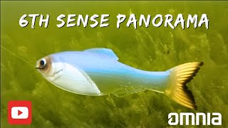 Unboxing and Rigging the New 6th Sense Panorama Underwater Footage and Tips [upl. by Nya]