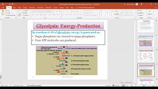 Carbohydrate Metabolism part 2 [upl. by Sennahoj429]