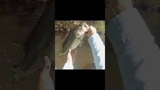 Kayak Fishing in Georgia 🎣 bassfishing largemouthbassin fishing largemouthnation sportfishing [upl. by Reteid]