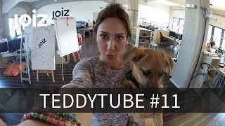 Teddy muss in die Hundepension  TeddyTube 11 [upl. by Marice]