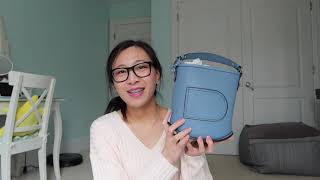 CH11 EP21 Delvaux Pin Mini Basket Bag Review [upl. by Konrad]