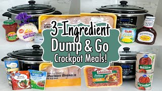 6 DUMP amp GO CROCKPOT DINNERS  The EASIEST 3Ingredient Slow Cooker Recipes  Julia Pacheco [upl. by Lonier]