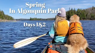 Spring In Algonquin Park a Four Day Canoe Camping Trip Trout Fishing and Paddling [upl. by Atilal24]