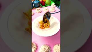 Momo recipe food momos youtubeshorts breakfastrecipes [upl. by Khanna883]