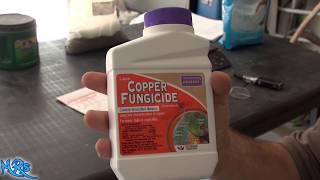 ⟹ Copper fungicide  Bonide  Product overview [upl. by Lleneg]