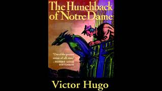 The Hunchback of Notre Dame Audiobook by Victor Hugo [upl. by Anyahc]