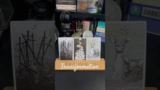 Transformation Three card Timeless Tarot Card Reading [upl. by Shatzer]