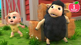 Baa Baa Black Sheep Song More Lalafun Nursery Rhymes amp Kids Songs [upl. by Kizzie]