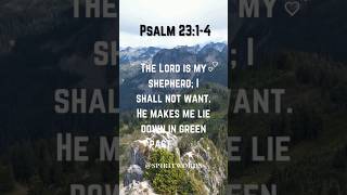 Psalm 23  14  Prayer prayer [upl. by Reffinnej]