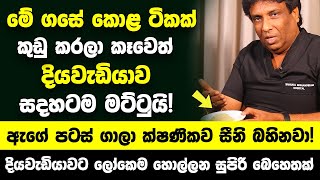 මේ ගසේ කොළ ටිකක් කුඩු කරලා කෑවෙත් දියවැඩියාව සදහටම මට්ටුයි  ඇගේ පටස් ගාලා ක්ෂණිකව සීනි බහිනවා [upl. by Thebazile]