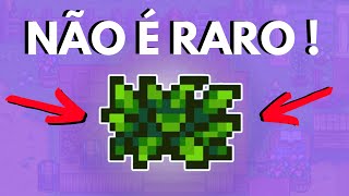 Técnica para pegar o ITEM MAIS RARO do Stardew Valley [upl. by Tteirrah]