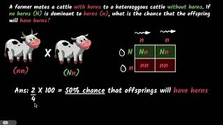 Monohybrid cross  Heredity and evolution  Biology class 10  Khan Academy [upl. by Fang]