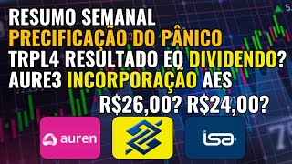 PREÇOS DE PANICO TRPL4 GRANDE DIVIDENDO BBAS3 NOVAMENTE INTERESSANTE [upl. by Anerhs60]