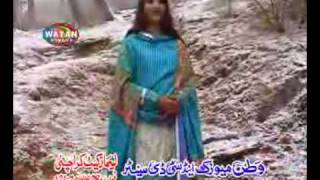 hazara afshan zebi with chitta chola [upl. by Ylsew]