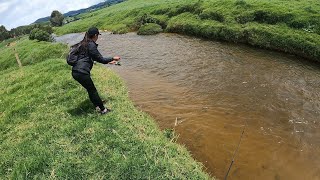 pesca de TRUCHA arcoiris en Colombia [upl. by Ttehr971]