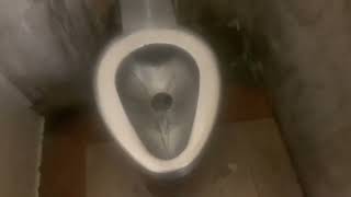 Metal Seatless Toilet 🤮 viewer discretion advised [upl. by Atirys]