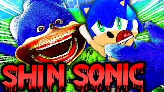 SuperSonicBlake Shin Sonic [upl. by Dib]