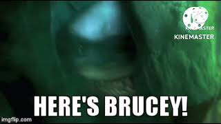 Bobby Bushbaby being scared by Bruce the Great White Shark [upl. by Etteneg627]