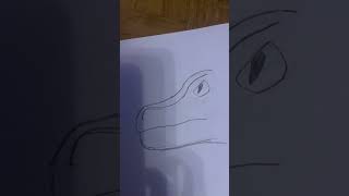 How to draw t rex [upl. by Groome]