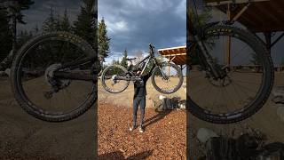 Ultimate MTB Suspension Test [upl. by Esilrac]