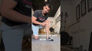 Knee pain Medial meniscus or pes anserine [upl. by Edsel]