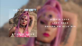 Lady Gaga  Stupid Love Sakgra PW Elle Mix [upl. by Lynda]