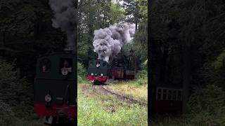 99 6001 und HOYA am Ramberg sound trainspotting steamtrain [upl. by Demetria]