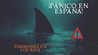 ¡Tiburones en los Ríos de España El Experimento Científico que Desató el Pánico [upl. by Kired]