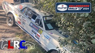 Best off Hellendoorn Rally 2024  4K HD  Crash  Mistakes [upl. by Hurlee338]