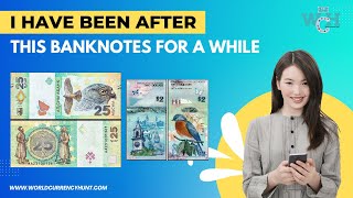 Have You Seen These Collectable Notes  Banknotes  For Sale  Some Stunning Bank Note Find [upl. by Davin352]