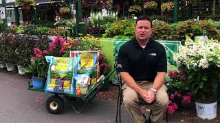 Why Join Master Nursery by Vice President of Sales Pat Flaherty [upl. by Akemej]