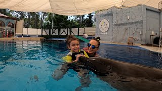 Delfintherapie Kemer  Sofia [upl. by Behl214]