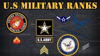 Comparing the different ranks in the US Military [upl. by Popele156]