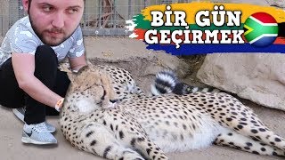 GÜNEY AFRİKADA BİR GÜN GEÇİRMEK [upl. by Collar]